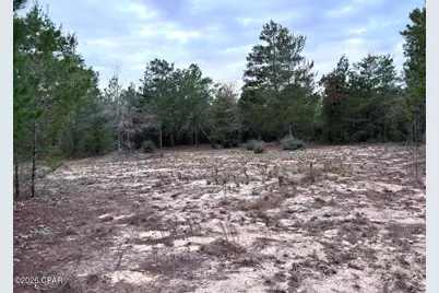 0 Fairhaven Lot 9 Drive, Chipley, FL 32428 - Photo 1