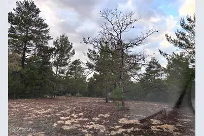 0 Fairhaven Lot 9 Drive, Chipley, FL 32428 - Photo 3