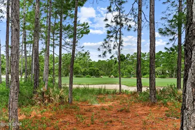 1401 Salamander Trail #1401, Panama City Beach, FL 32413 - Photo 51