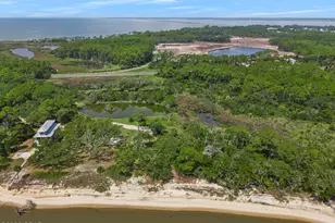 270 Pruett Rd, Eastpoint, FL 32328 - Photo 1