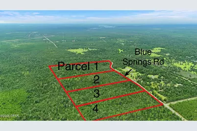 000 Blue Springs Road #Parcel 1, Youngstown, FL 32466 - Photo 3