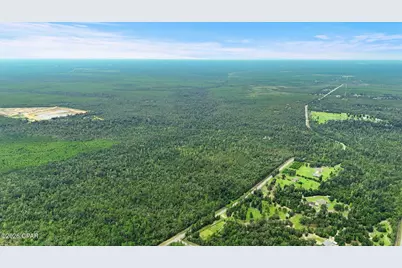 010 Blue Springs Road #Parcel 2, Youngstown, FL 32466 - Photo 15