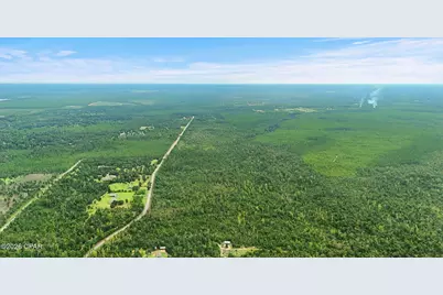 010 Blue Springs Road #Parcel 2, Youngstown, FL 32466 - Photo 11