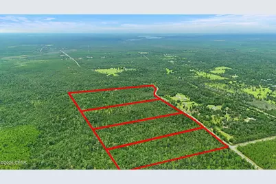 020 Blue Springs Road #Parcel 3, Youngstown, FL 32466 - Photo 7