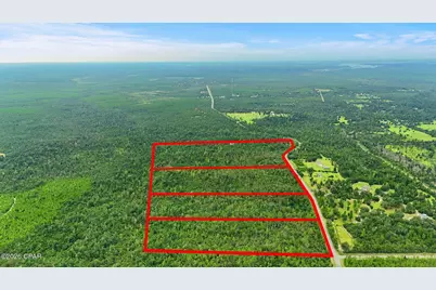 020 Blue Springs Road #Parcel 3, Youngstown, FL 32466 - Photo 5