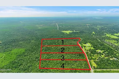 020 Blue Springs Road #Parcel 3, Youngstown, FL 32466 - Photo 3