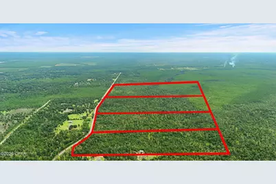 030 Blue Springs Road #Parcel 4, Youngstown, FL 32466 - Photo 11