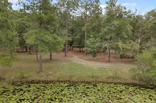 1576 Bass Rd, Caryville, FL 32427 - Photo 31