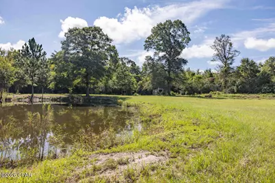 5274 Smokey Road, Graceville, FL 32440 - Photo 29