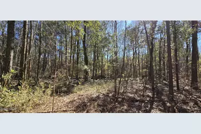 00 Canopy Oak Blvd, Bonifay, FL 32425 - Photo 7
