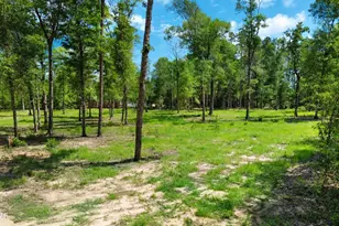 0 N Silver Lake Ln, Marianna, FL 32448 - Photo 1