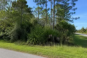 1320 Radio Loop, Labelle, FL 33935 - Photo 1