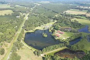 4630 Canary Rd, Graceville, FL 32440 - Photo 5