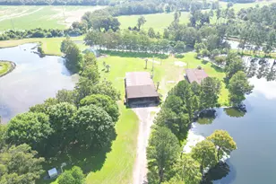 4630 Canary Rd, Graceville, FL 32440 - Photo 7