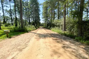 4630 Canary Rd, Graceville, FL 32440 - Photo 51