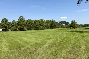 4630 Canary Rd, Graceville, FL 32440 - Photo 13