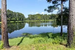 4630 Canary Rd, Graceville, FL 32440 - Photo 19