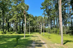 4630 Canary Rd, Graceville, FL 32440 - Photo 15