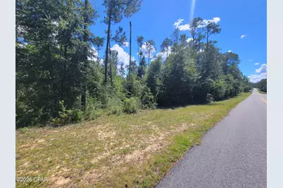 0 View Drive, Alford, FL 32420 - Photo 7