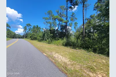 0 View Drive, Alford, FL 32420 - Photo 9