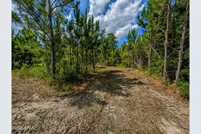 18500 US Highway 331, Freeport, FL 32439 - Photo 5