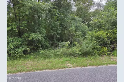 0000 Quail Ridge Drive, Chipley, FL 32428 - Photo 3
