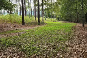 1745 Turkey Oak Trl, Bonifay, FL 32425 - Photo 1
