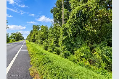 Tbd Highway 162 Highway, Marianna, FL 32446 - Photo 1