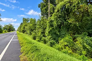 Tbd Hwy 162 Hwy, Marianna, FL 32446 - Photo 1