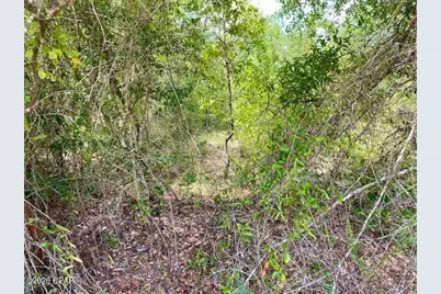 0 Edison Avenue, Alford, FL 32420 - Photo 5
