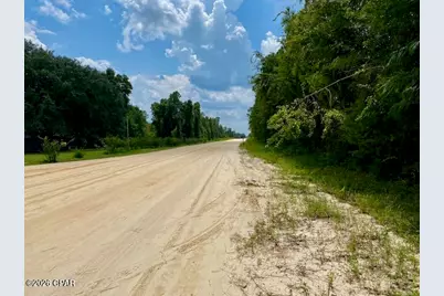 0 Edison Avenue, Alford, FL 32420 - Photo 7