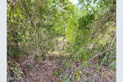 0 Edison Avenue, Alford, FL 32420 - Photo 5