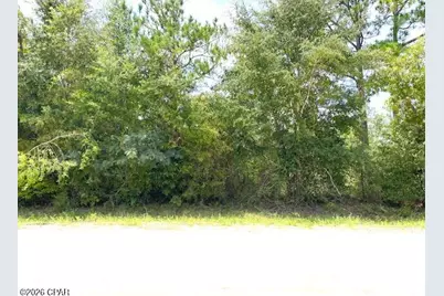 0 Edison Avenue, Alford, FL 32420 - Photo 9