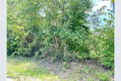 0 Edison Avenue, Alford, FL 32420 - Photo 3