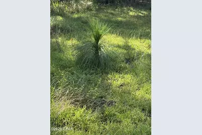 0 Jacob Road, Cottondale, FL 32431 - Photo 5