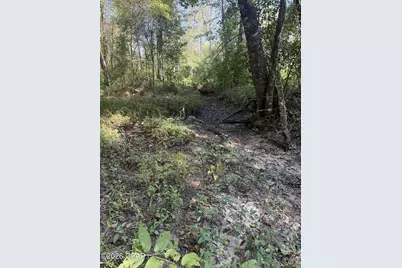0 Jacob Road, Cottondale, FL 32431 - Photo 13