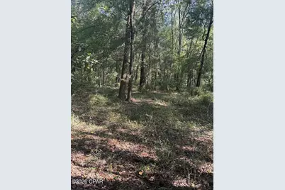 0 Jacob Road, Cottondale, FL 32431 - Photo 9