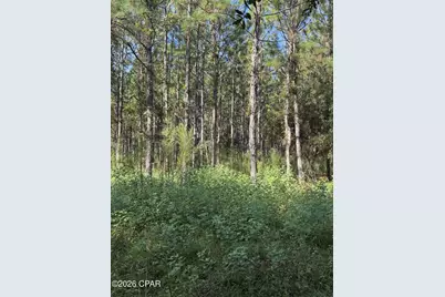 0 Jacob Road, Cottondale, FL 32431 - Photo 17