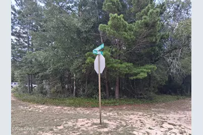 Lot 10 Baldwin Street, Chipley, FL 32428 - Photo 3