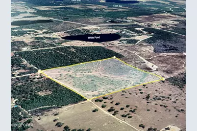 0000 NW La Follette Lane, Altha, FL 32421 - Photo 5