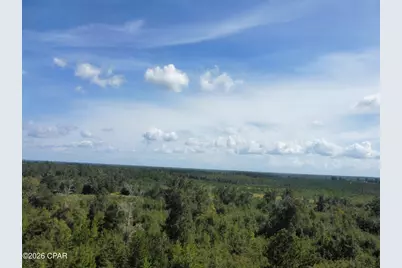 0000 NW La Follette Lane, Altha, FL 32421 - Photo 3