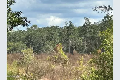 Tract#6418 N Mattox Springs Road, Caryville, FL 32427 - Photo 43