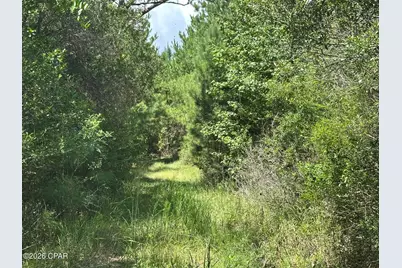 Tract#6418 N Mattox Springs Road, Caryville, FL 32427 - Photo 19