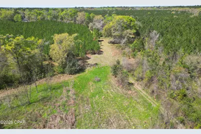 409 Thigpen Road, Quincy, FL 32351 - Photo 5