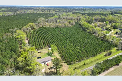 409 Thigpen Road, Quincy, FL 32351 - Photo 9