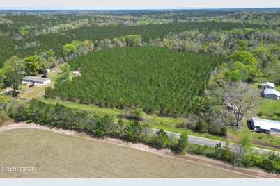 409 Thigpen Road, Quincy, FL 32351 - Photo 7
