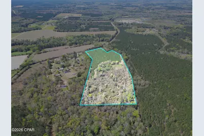 409 Thigpen Road, Quincy, FL 32351 - Photo 1