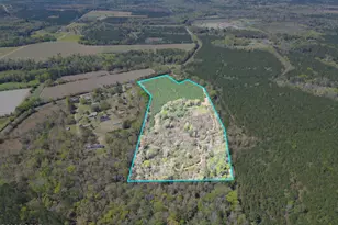 409 Thigpen Rd, Quincy, FL 32351 - Photo 1