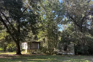 240 Mockingbird Ln, Chattahoochee, FL 32324 - Photo 83