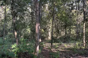 240 Mockingbird Ln, Chattahoochee, FL 32324 - Photo 73